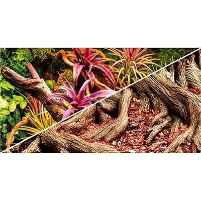 Hobby pozadí oboustranné Jungle / Strangler Fig 50 x 2500 cm