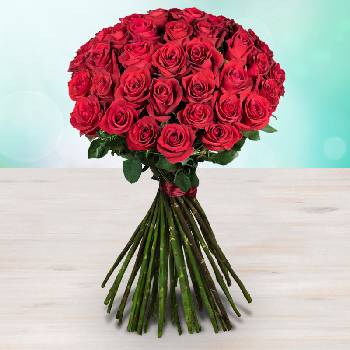 Rozvoz květin: Metrové rudé růže - 90cm (XXL) - cena za 1ks - Benešov