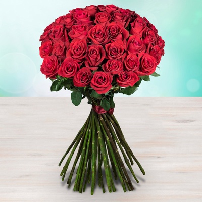 Rozvoz květin: Metrové červené růže - 90cm (XXL) - cena za 1ks - Benešov