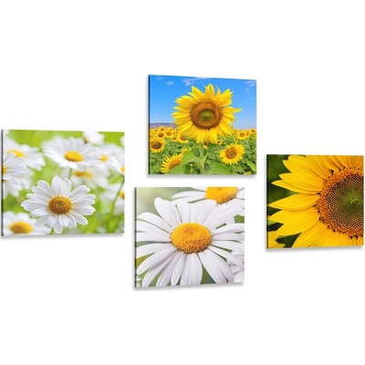 Set obrazů nádherné květiny na louce - 4x 60x60