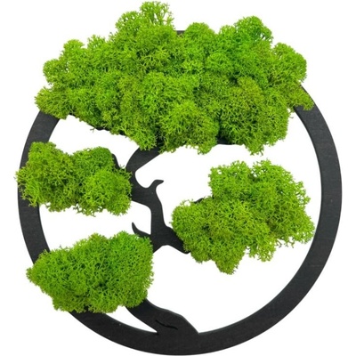 Machový obraz Bonsai 20cm Black