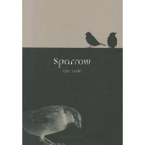 Sparrow | Kim Todd (2011)
