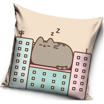 Carbotex Pelech mačičky Pusheen 40 x 40 cm