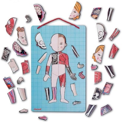 Janod Магнитно човешко тяло Bodymagnet пъзел с дъска за окачване