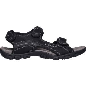 LOAP ALLEN 41