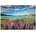Clementoni - Puzzle Lupins at Lake Tekapo - 1 500 piese