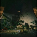 The Plot In You - The Plot In You CD