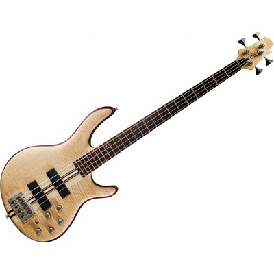 Cort A4 Plus