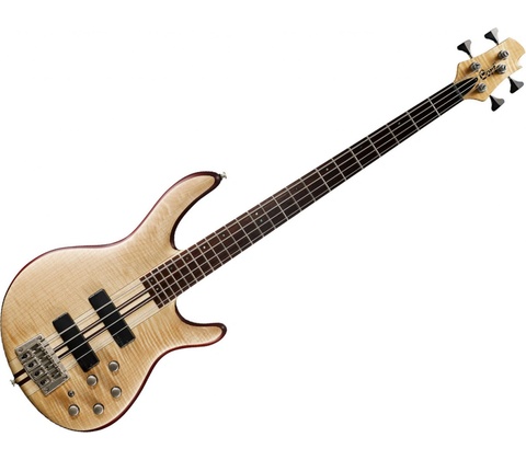 Cort A4 Plus