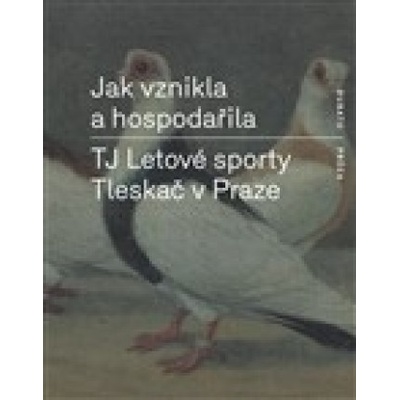 Jak vznikla a hospodařila TJ Letové sporty Tleskač v Praze