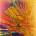 JMSN - It Is. 2 LP