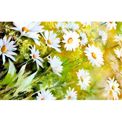 Goba Plastové prostírání Kopretiny 28x43 cm 6 ks 1000674A