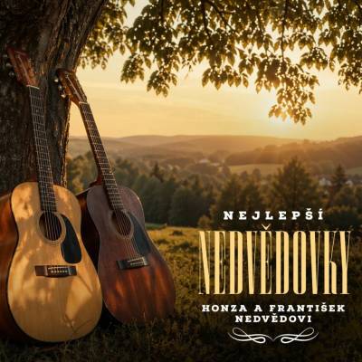 NEDVEDI HONZA A FRANTISEK - NEJLEPSI NEDVEDOVKY (2VINYL)