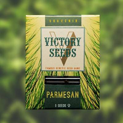 Victory Seeds Parmesan semena neobsahují THC 10 ks