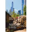 Knihy Sedm měsíců v Raleigh, New Yorku a Chicagu - Adam Gebrian