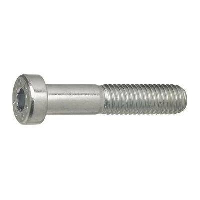 Šroub nízká válcová hlava, vnitřní šestihran DIN7984 M12x60, 8.8 ocel pozink (100 ks) – Sleviste.cz