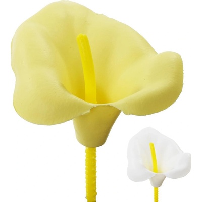 KALA VÄZBOVÁ 11cm /UH/