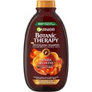 Garnier Botanic Therapy Revitalizing Shampoo se zázvorem a medem 250 ml