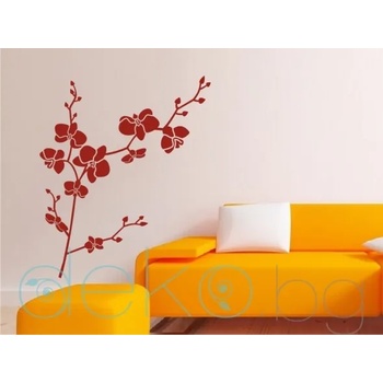 Image 1 of Орхидея (3078)