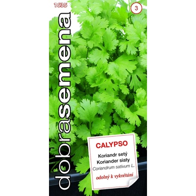 Dobré semená Koriander Calypso 2 g