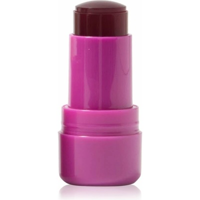 Technic Cosmetics Jelly Tint lícenka v tyčinke na pery a líca Berry Cool 9 g