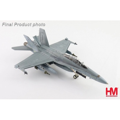Hornet Hobby Master CF-188B RCAF No.425 Sqn #188902 Bagotville Canada 2004 1:72