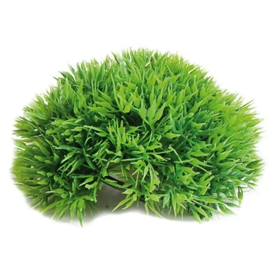 Flamingo Mossball - Декоративно растение за аквариуми , 5 см