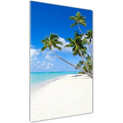 Vertikálny foto obraz sklenený Tropická pláž 50x100 cm