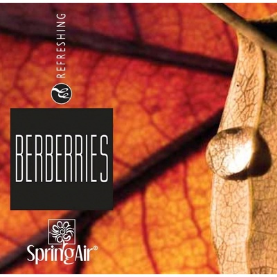 Spring Air náplň pre Iconoscent/Artyscent Berberries 500 ml