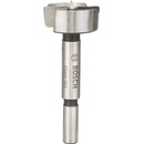 Bosch 2609255290