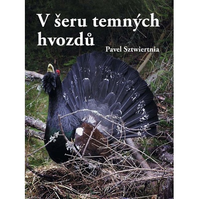 V šeru temných hvozdů - Sztwiertnia Pavel