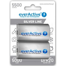 EverActive Silver Line D 5500 mAh 2ks EVHRL20-5500