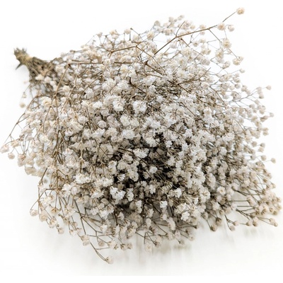 mech-mech.cz Stabilizovaný Šater prémium - (Gypsophila) - přírodní bílá – Sleviste.cz