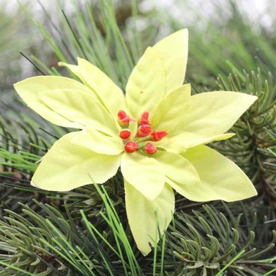 Vánoční hvězda 8cm/24ks - pistaciová zelená - VL0728