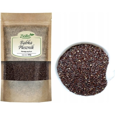 Ziółko Psyllium seed 300 g