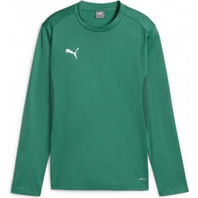 Puma teamGOAL Training Sweat Jr 658651-05
