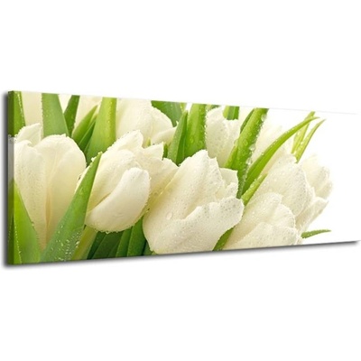 Obraz bílé tulipány plátno 1 100x40