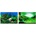 Ferplast - Background 9040 - Фон за аквариум с две страни, 60/40 см