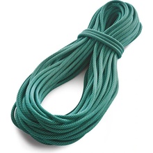 Tendon Master 9.4mm 40m