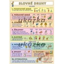 Slovné druhy