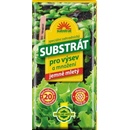 Forestina Substrát pre výsev a množenie 20 l