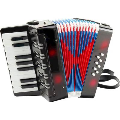 Raya Toys Детски акордеон Raya Toys черен (RT502124219)