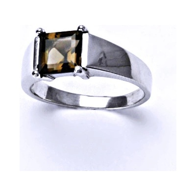 Čištín stříbrný přírodní záhněda T 1404