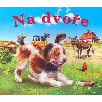 Na dvoře