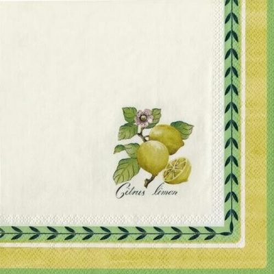 Villeroy & Boch Servítky veľké 32,5 cm French Garden