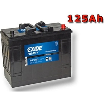 Exide Professional 12V 125Ah 640A EG1250