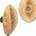 Toolight APP1331-1W