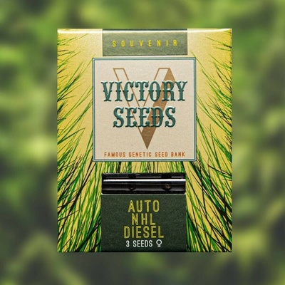 Victory Seeds AUTO NHL Diesel semena neobsahují THC 5 ks