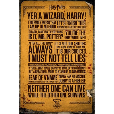 Plagát, Obraz - Harry Potter - Quotes, 61 × 91.5 cm
