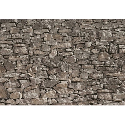 Decor SD908 Fototapeta kamenná zeď fototapety Steinmauer Sunny rozměr 368 cm x 254 cm